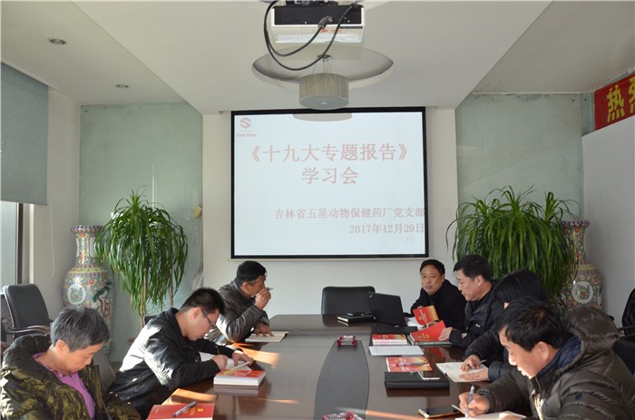  新闻动态--彩虹多多