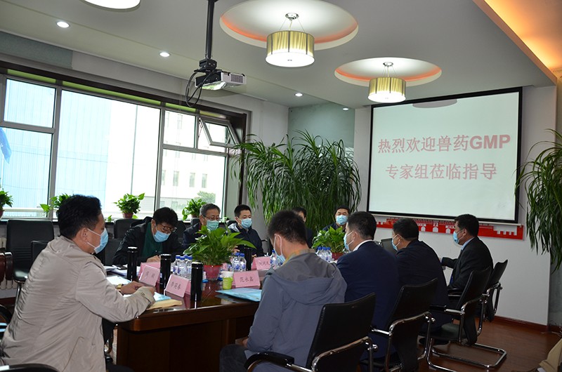  新闻动态--彩虹多多