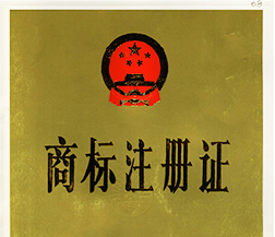  商标标识--彩虹多多