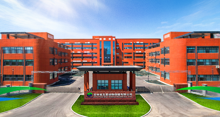 彩虹多多·正版(中国)官方网站