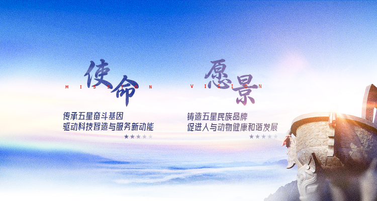  新闻动态--彩虹多多