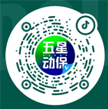  新闻动态--彩虹多多