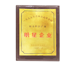  声誉资质--彩虹多多