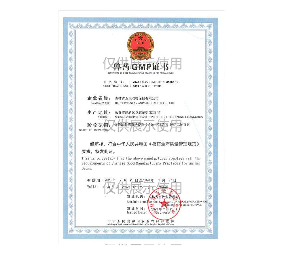 彩虹多多·正版(中国)官方网站